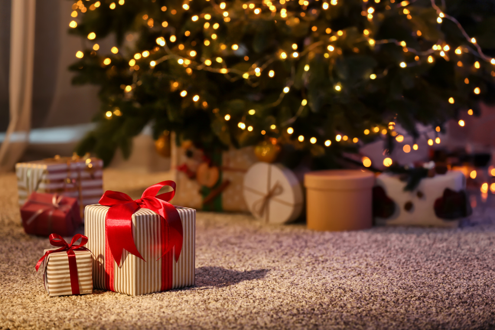 Guardian's Holiday Storage Secrets